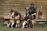 ADULTE ET CHIEN 331